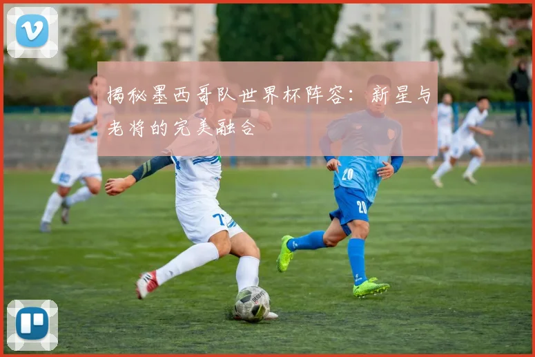 揭秘墨西哥队世界杯阵容：新星与老将的完美融合