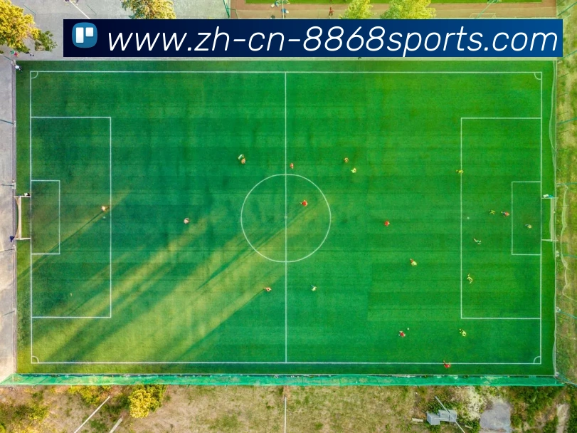 8868体育发展历程